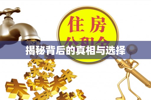 巴彦淖尔揭秘背后的真相与选择